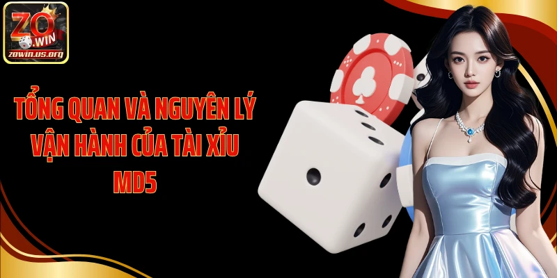 Tổng quan và nguyên lý vận hành của Tài Xỉu MD5